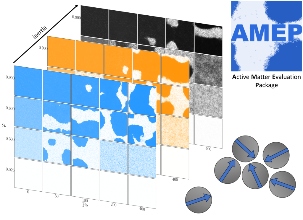 AMEP